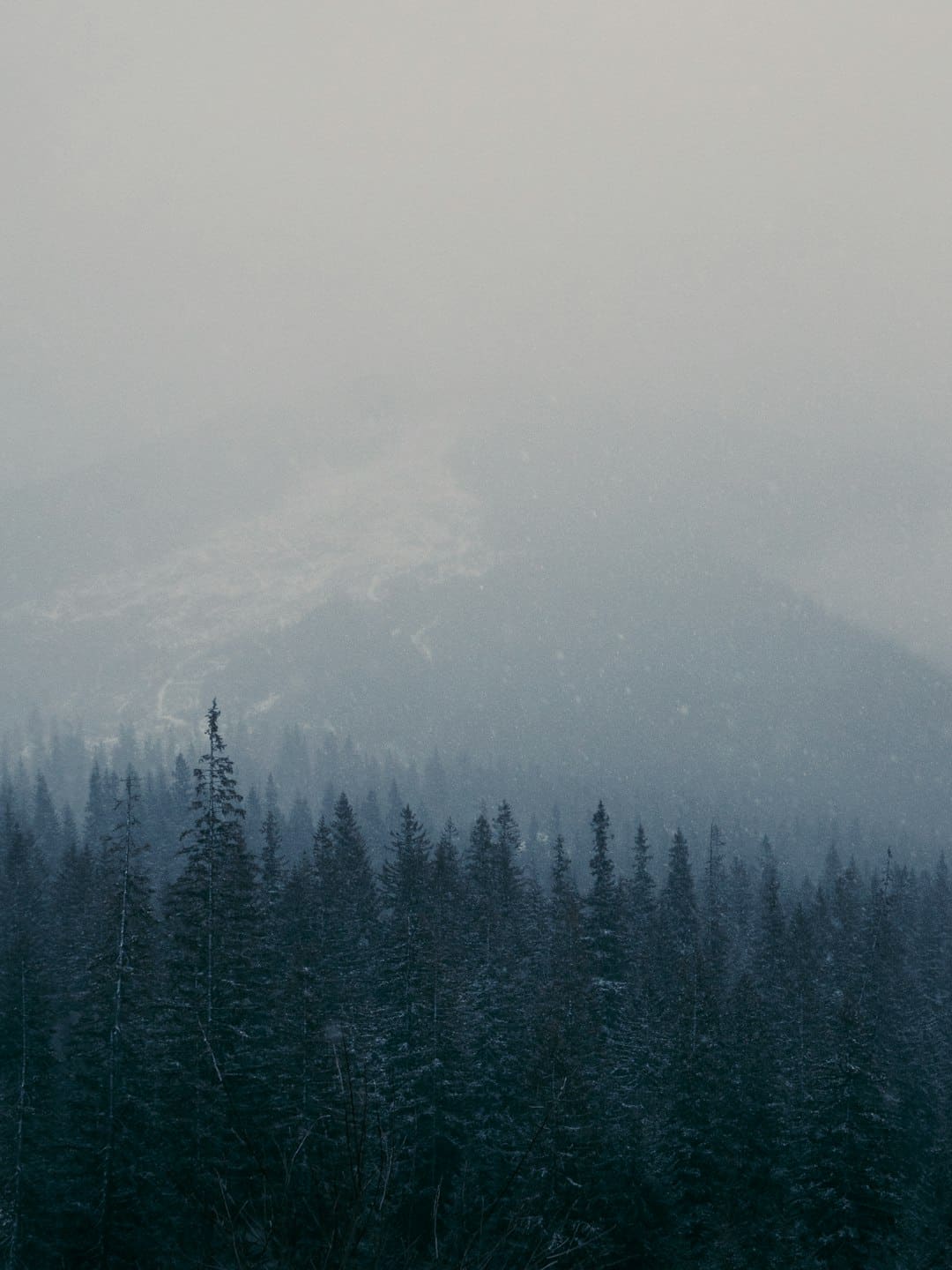 https://p3.img.cctvpic.com/photoworkspace/contentimg/2025/09/06/2025090609253635953.jpg